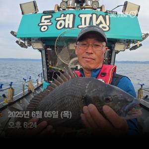 조황, 포항 감성돔 선상조황