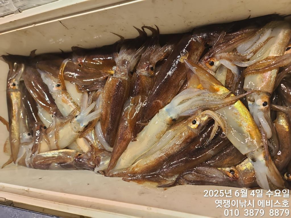 F269047511.jpg