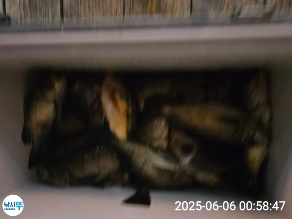 F2691630NT.jpg