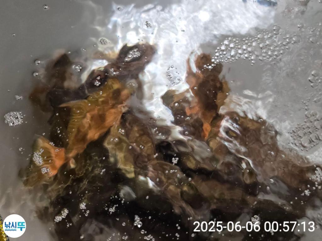 F2691644IC.jpg