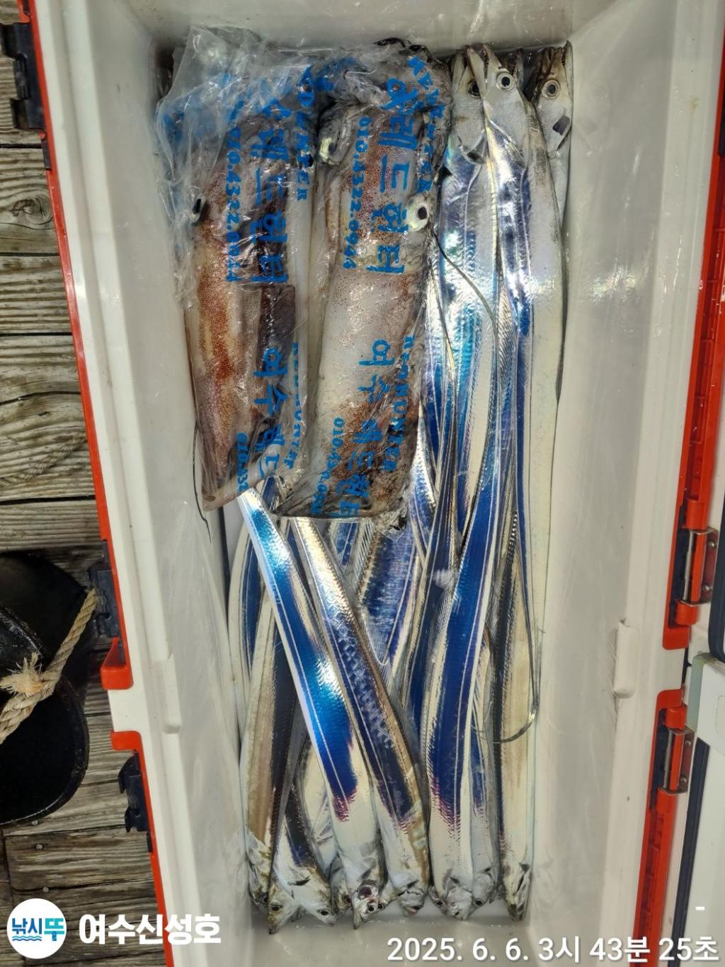 F2691738TK.jpg