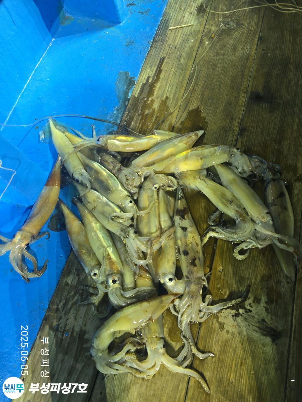 F26917706P.jpg