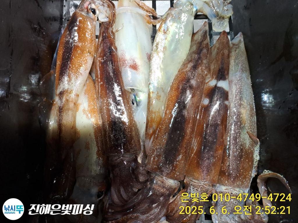 F2691843IX.jpg