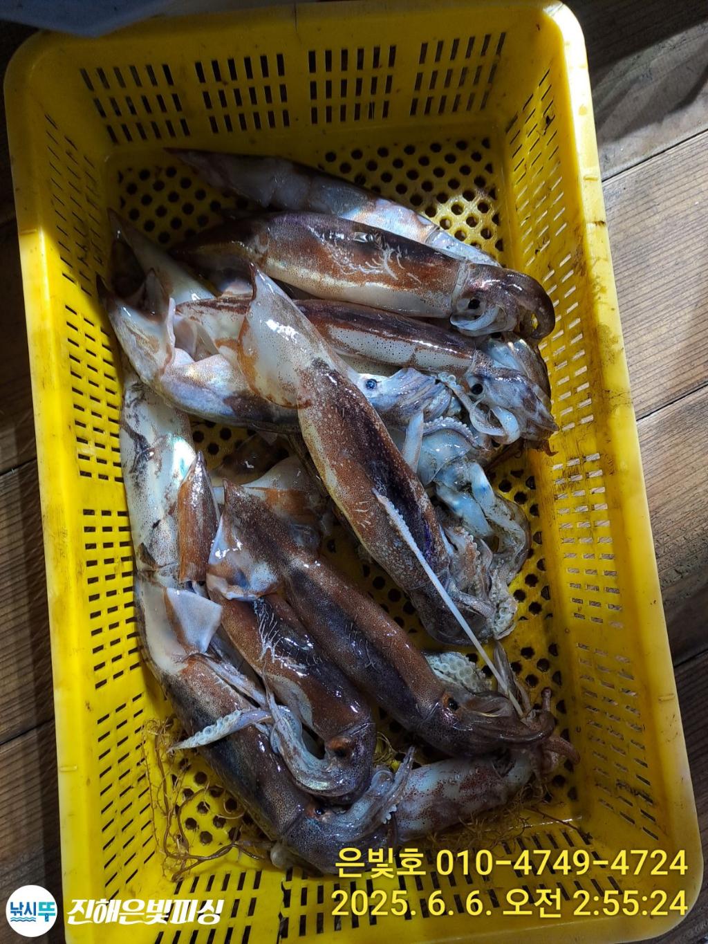 F2691850CH.jpg