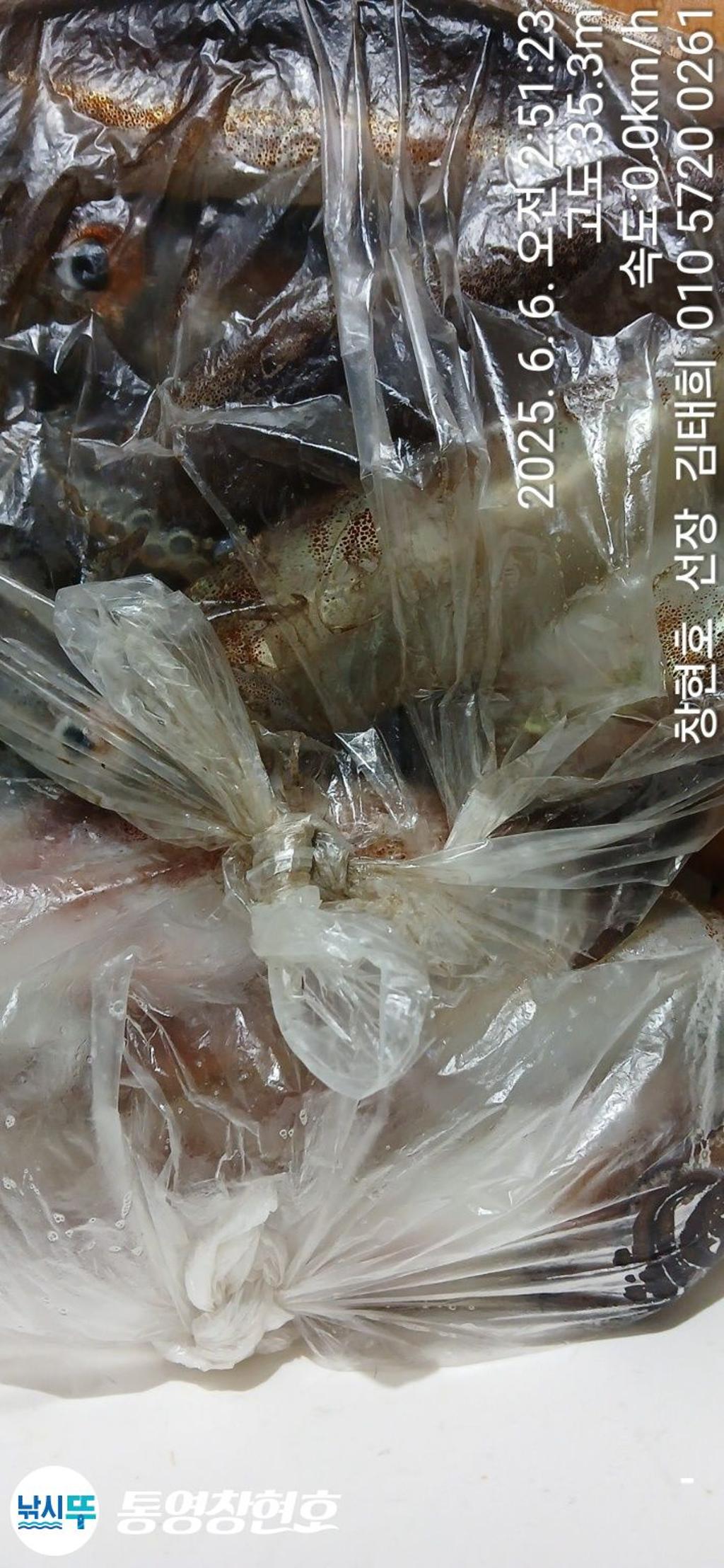 F2691966LO.jpg