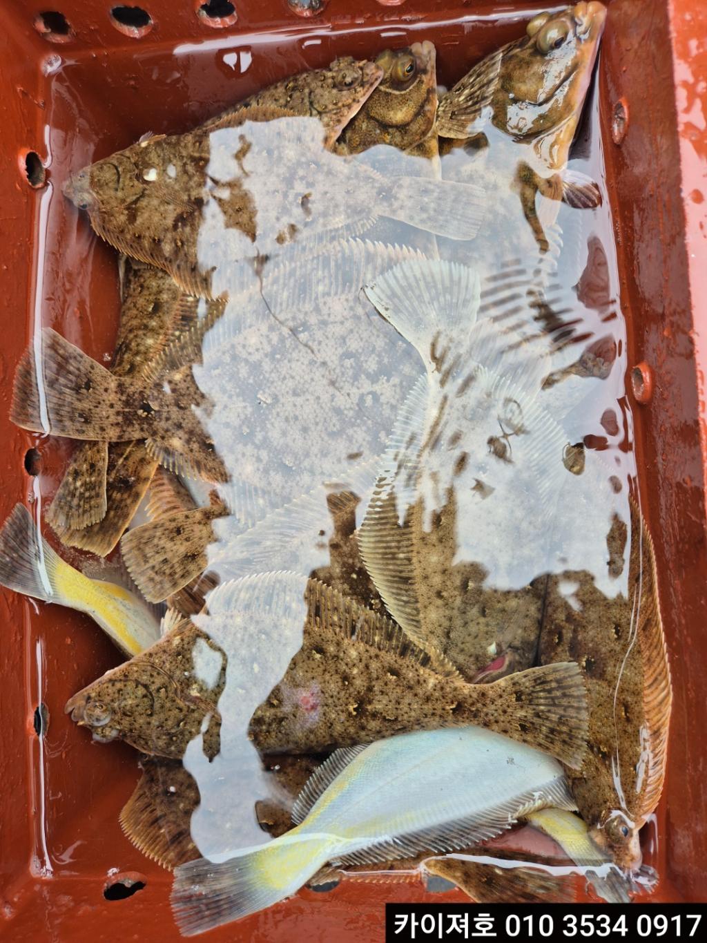 F2692281OI.jpg