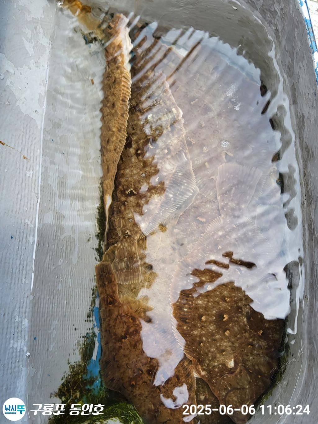 F2692395H7.jpg