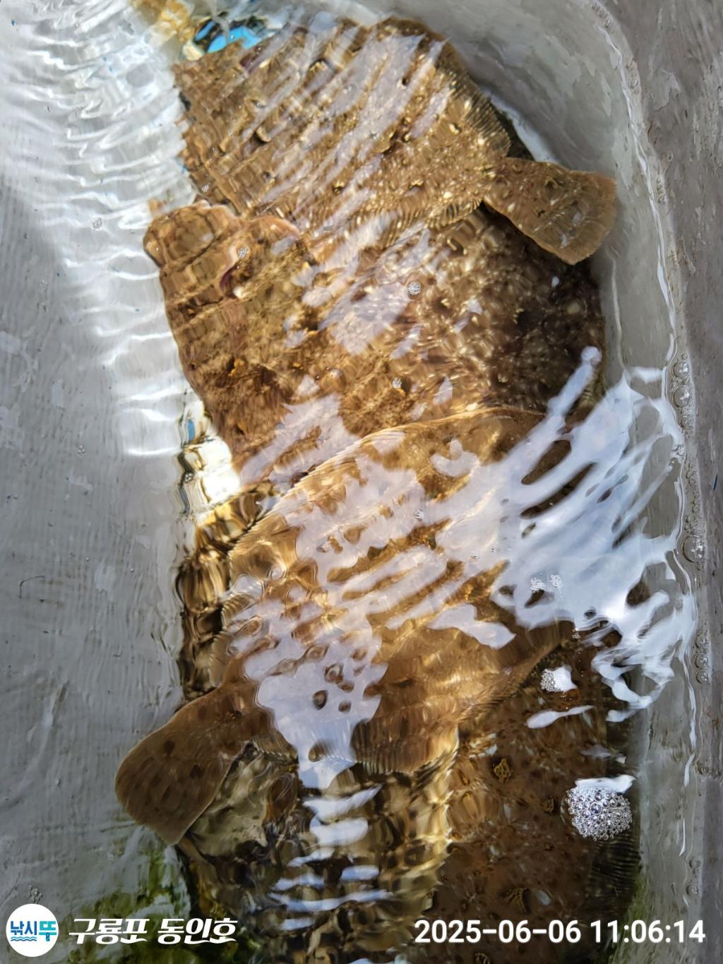 F2692397JI.jpg