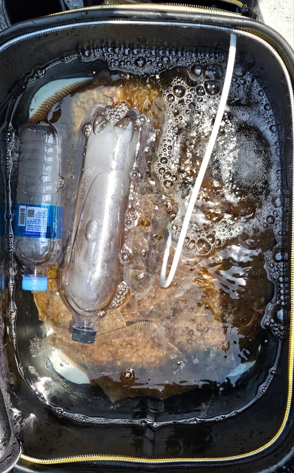 F2692511Y0.jpg