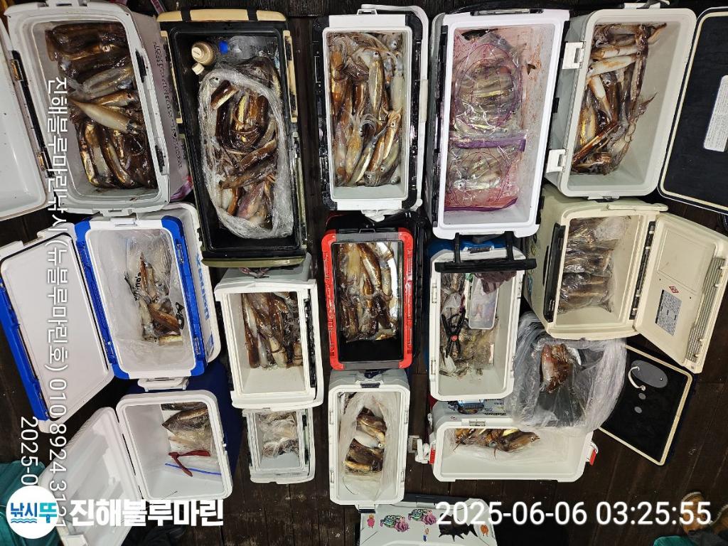 낚시뚜,한치,오징어,진해수도항,진해블루마린낚시,낚시뚜5