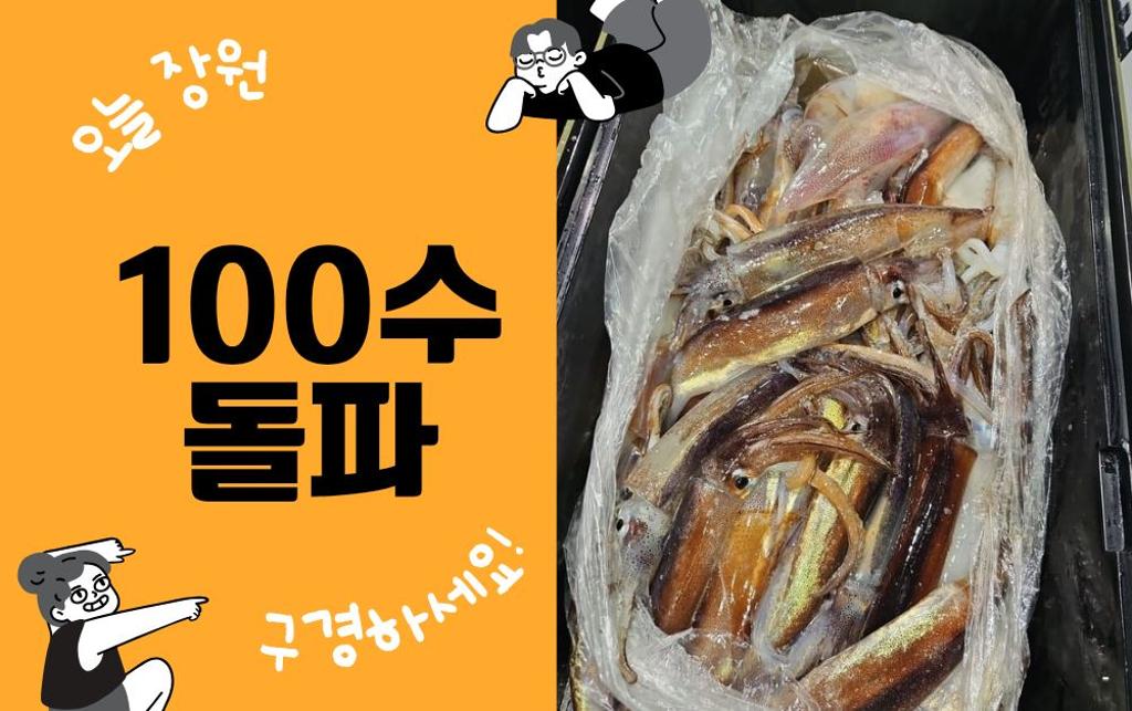 낚시뚜,한치,오징어,진해수도항,진해블루마린낚시,낚시뚜1