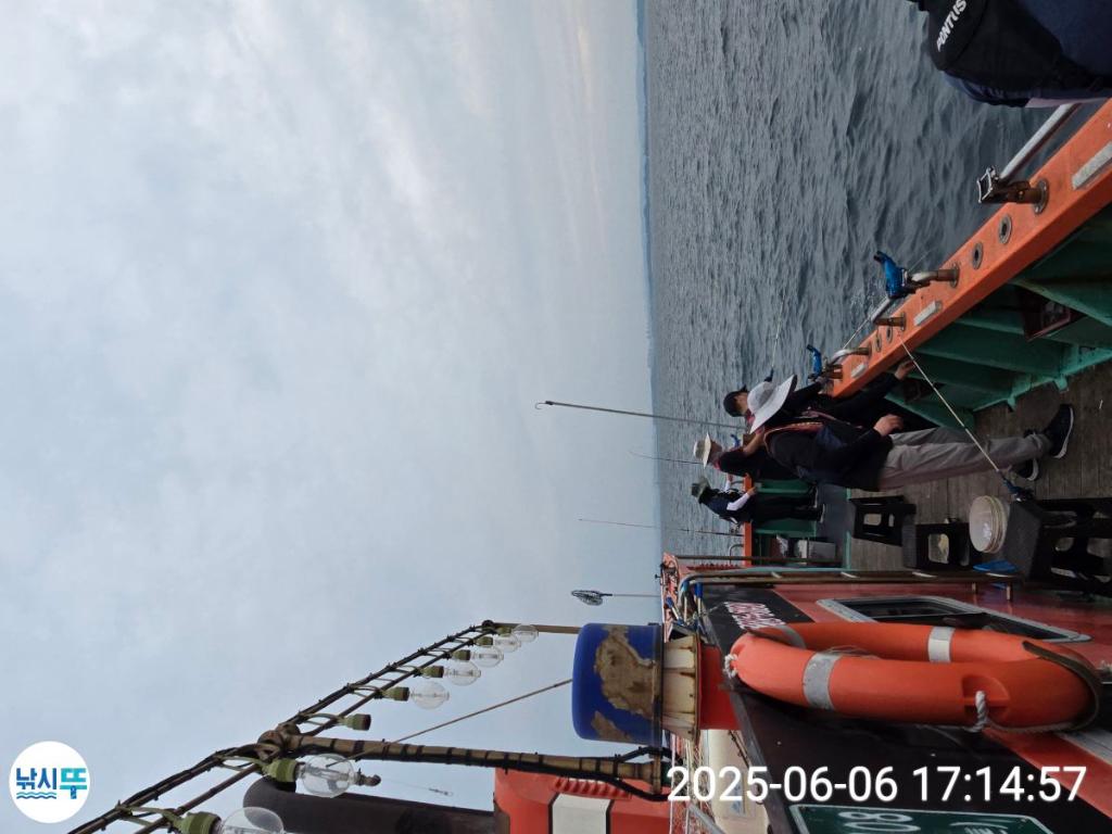 F26926139T.jpg