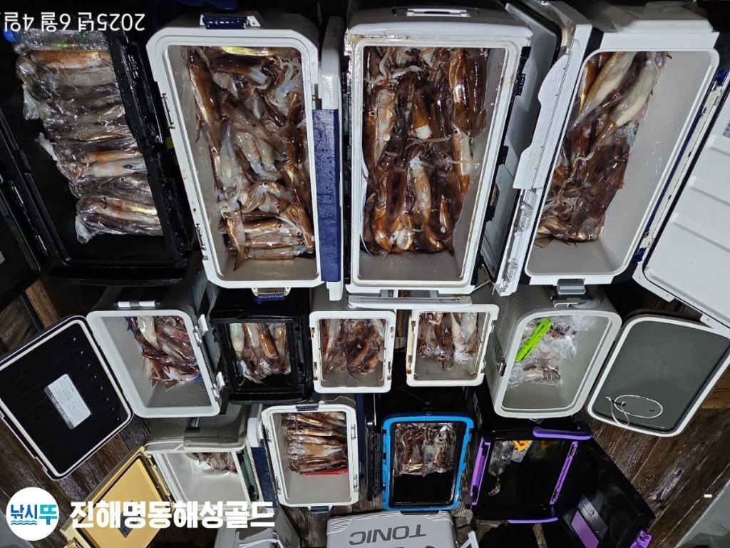 F2692667ZK.jpg