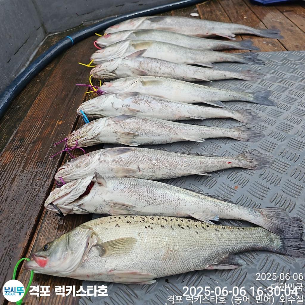F2692804WA.jpg