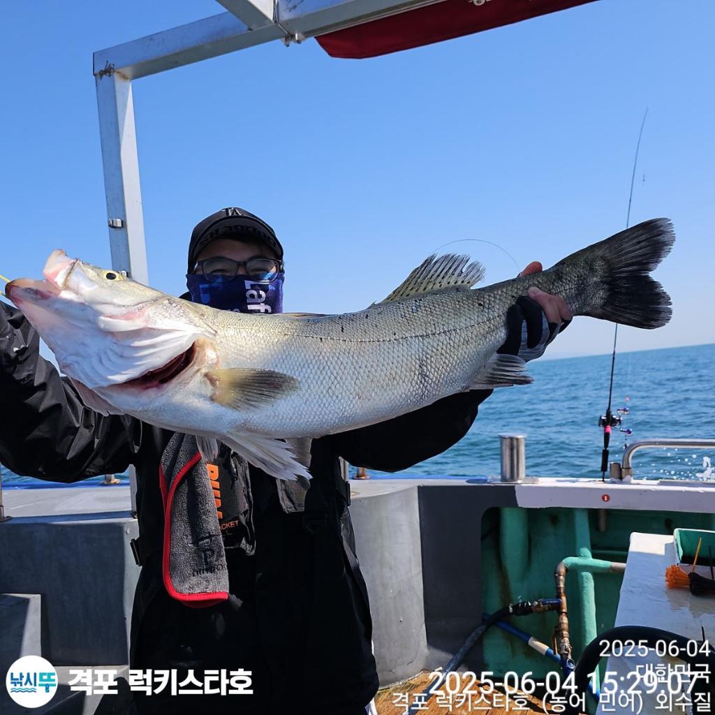 F2692809JP.jpg