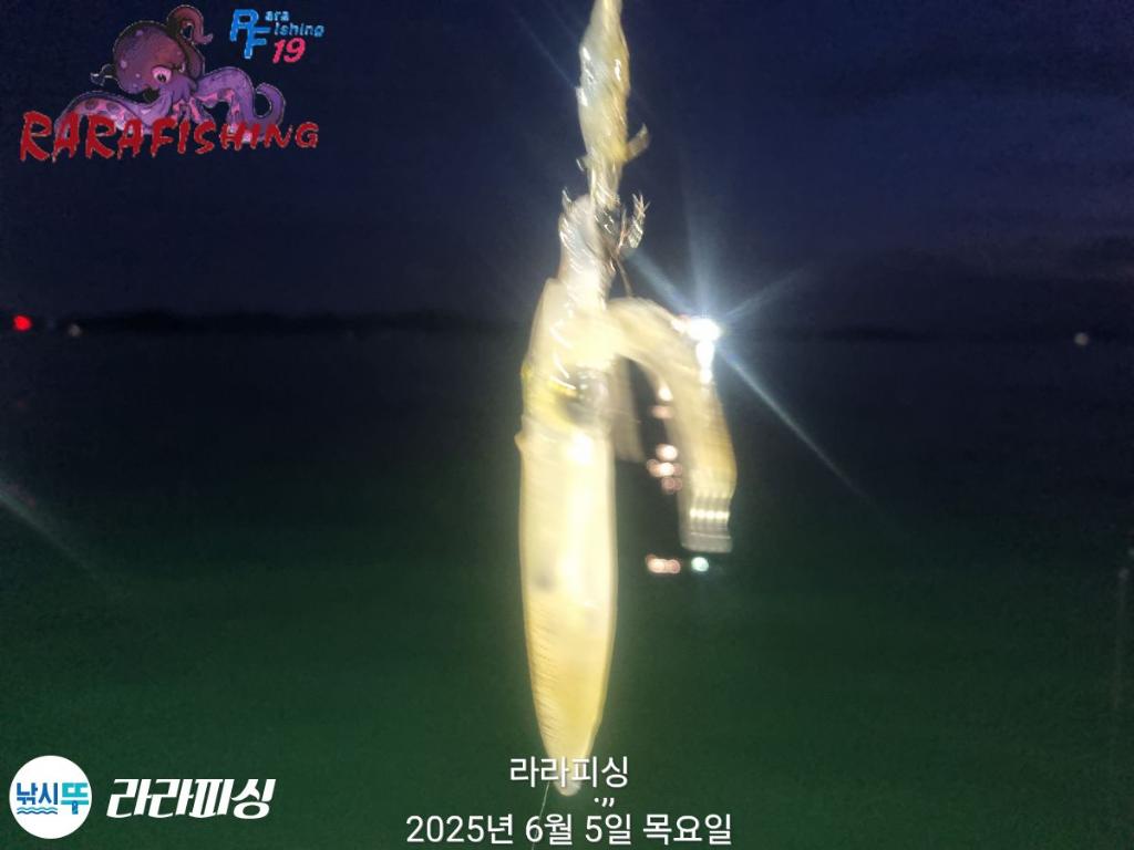 F2692891QZ.jpg