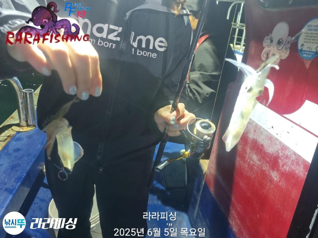 F2692904JA.jpg