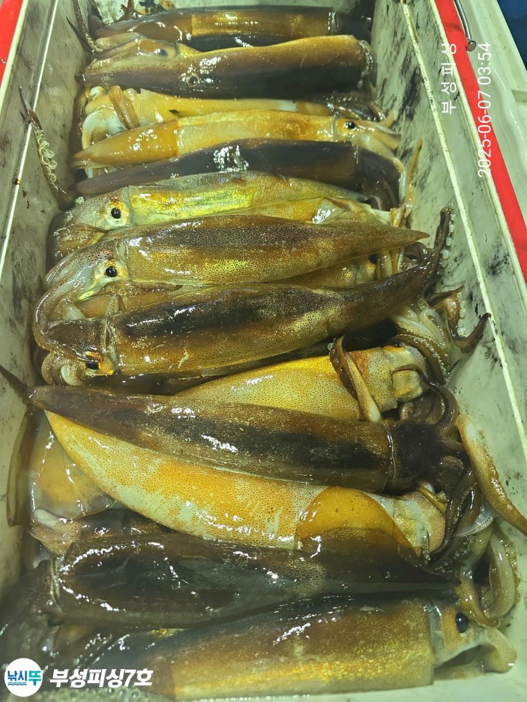 F269303716.jpg