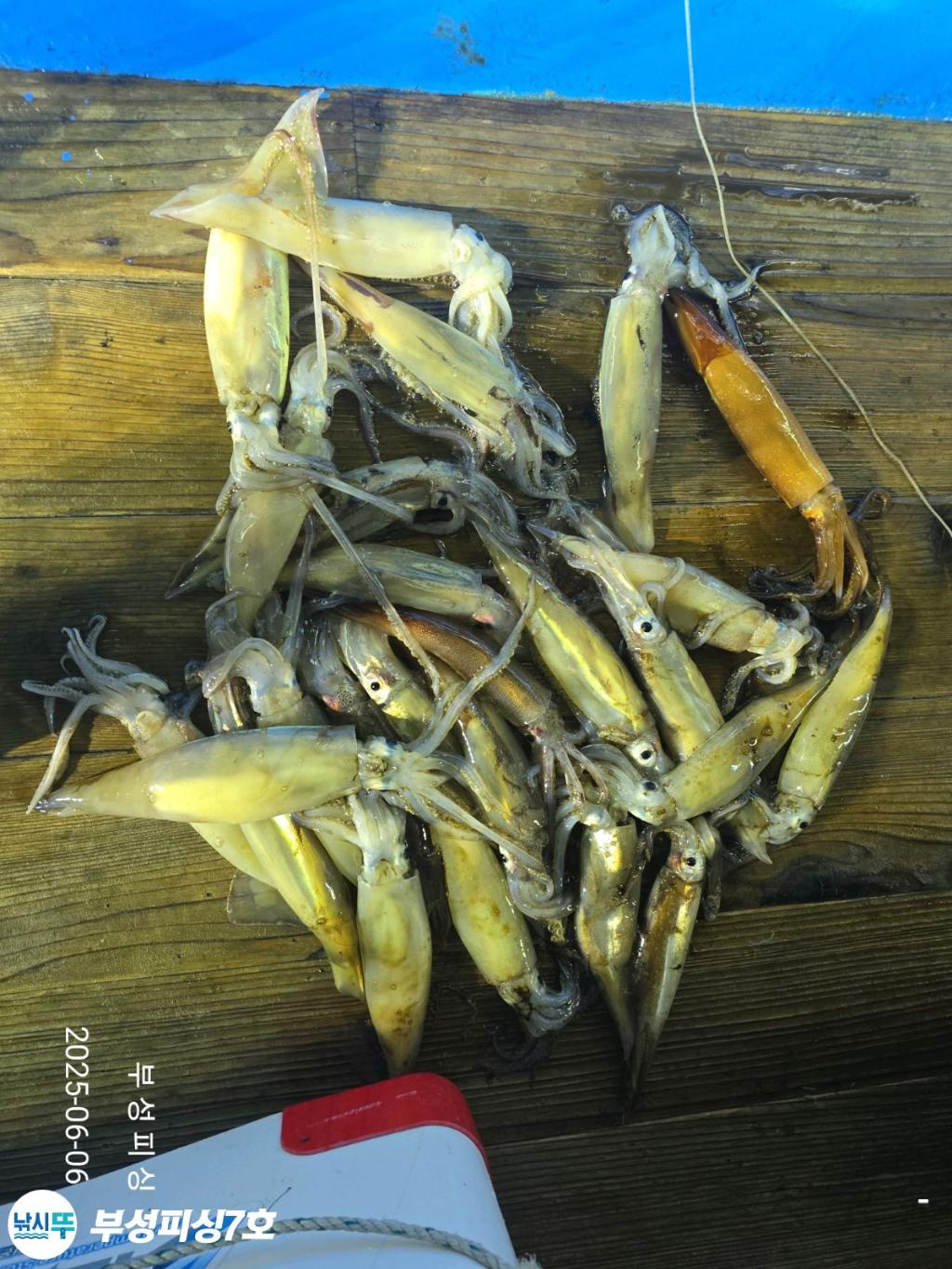 F2693042G8.jpg