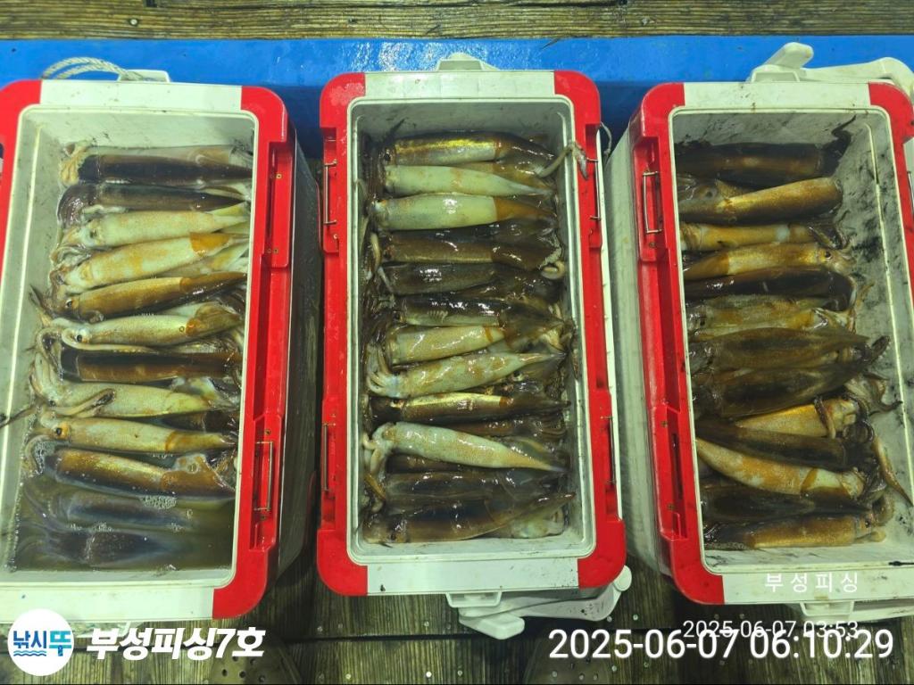 F2693062U1.jpg