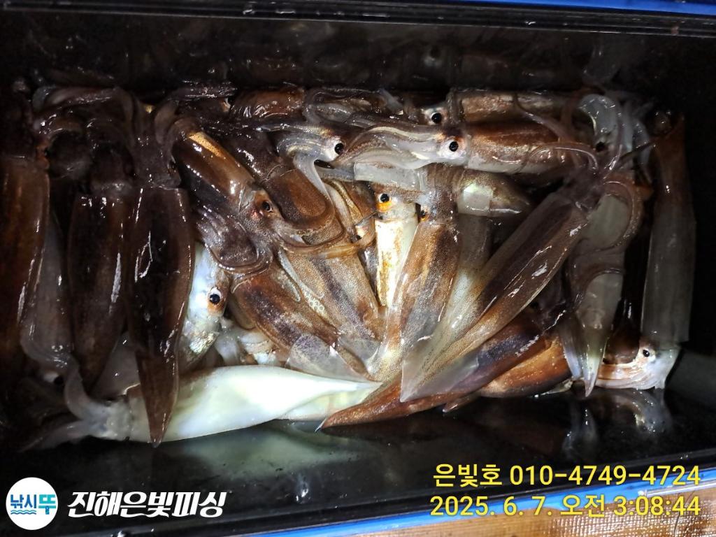 F2693073CN.jpg