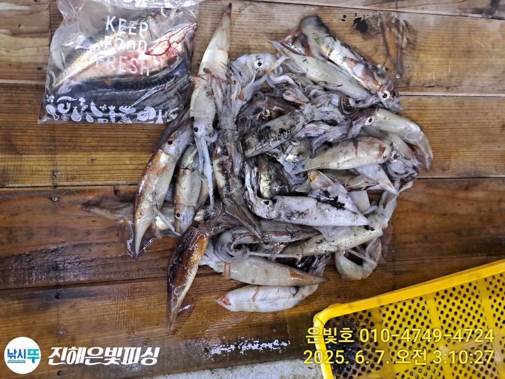 F2693075JJ.jpg