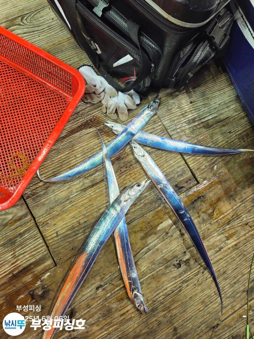 F2693086XS.jpg