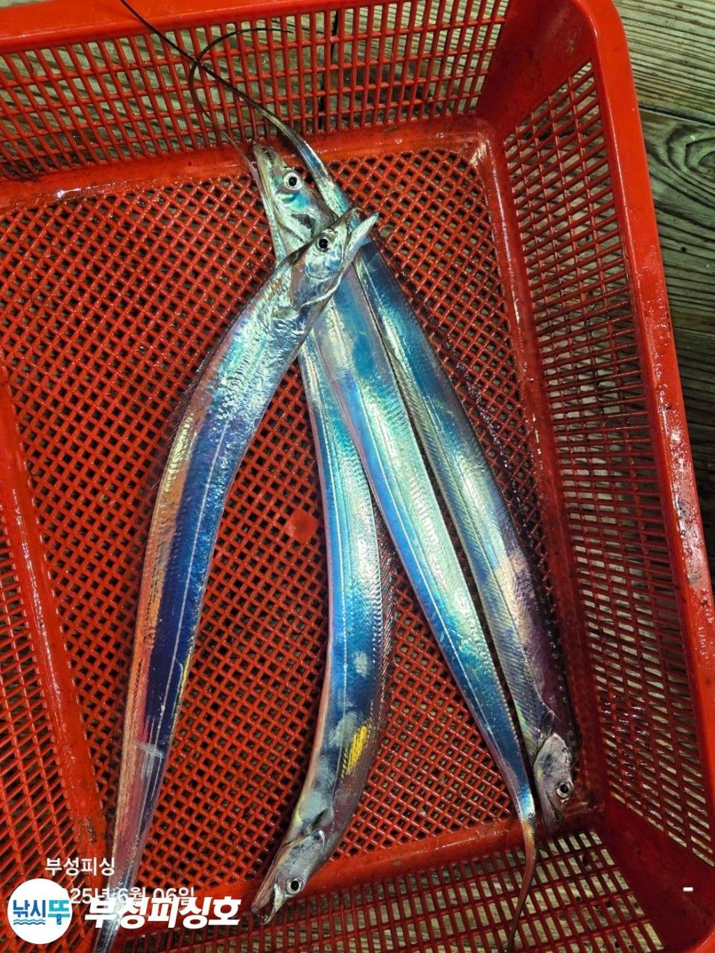 F2693087S4.jpg