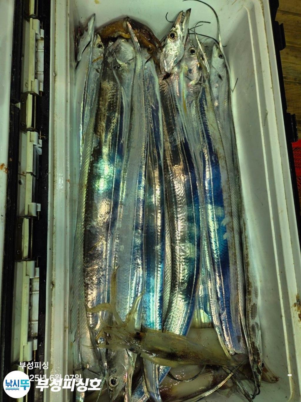 F2693091OG.jpg