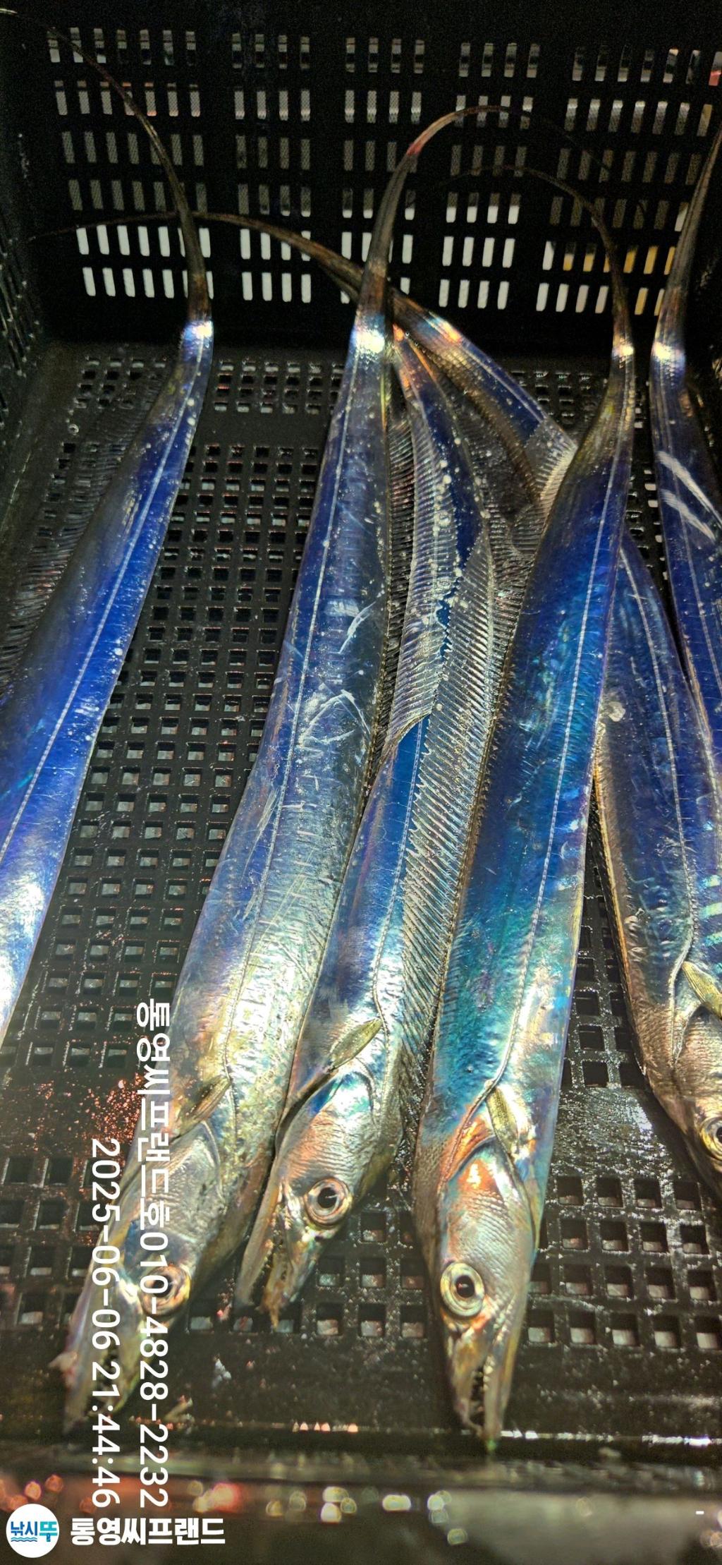 F2693119NQ.jpg