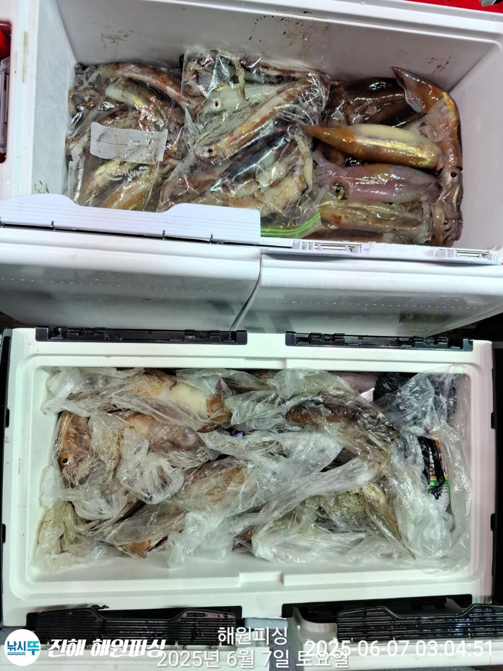 F269317382.jpg