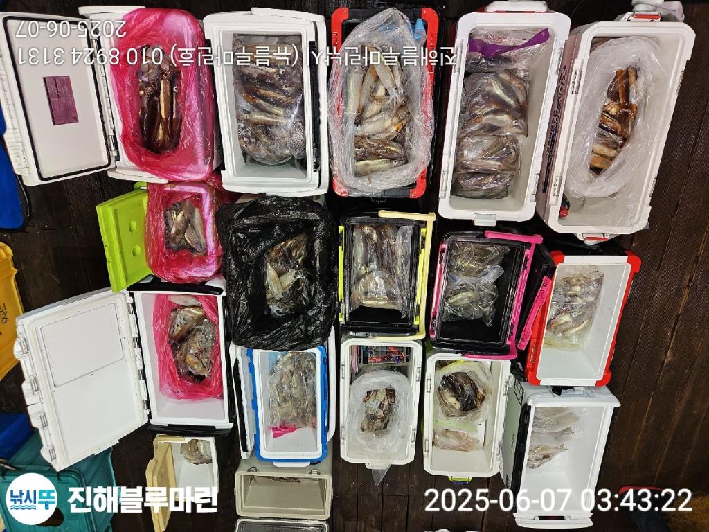 F269325761.jpg