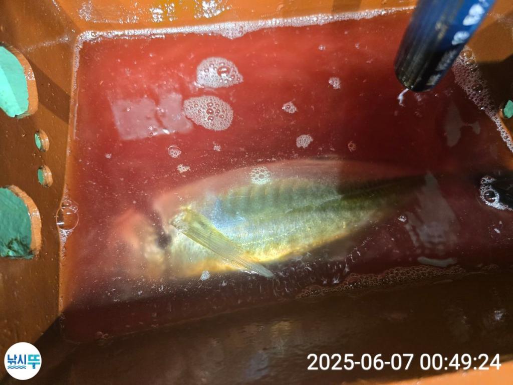 F2693300O4.jpg
