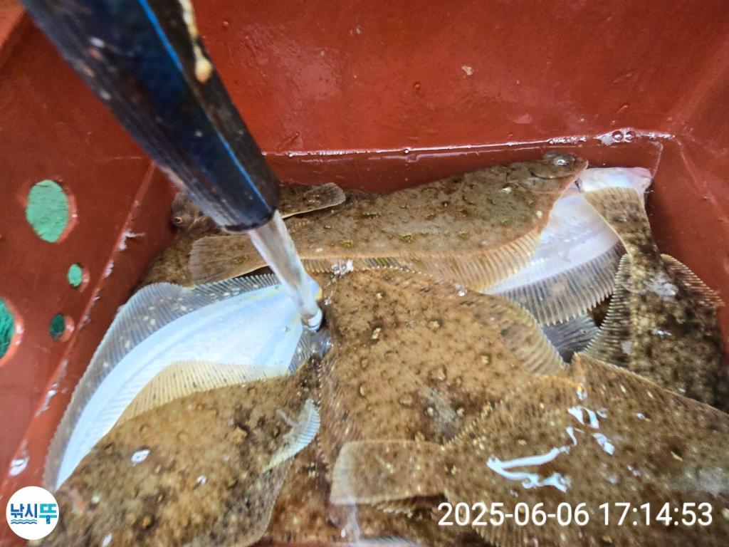 F2693311TT.jpg