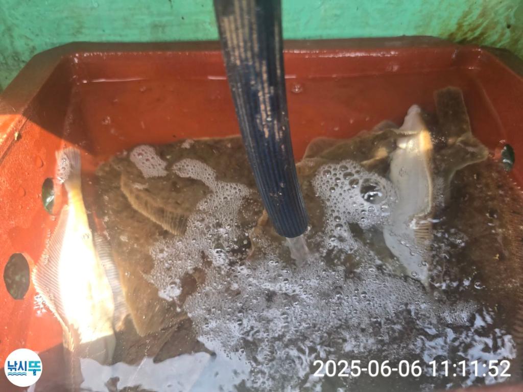 F269333651.jpg