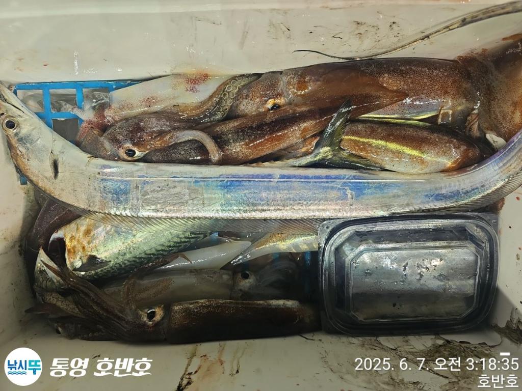 F26934963Q.jpg