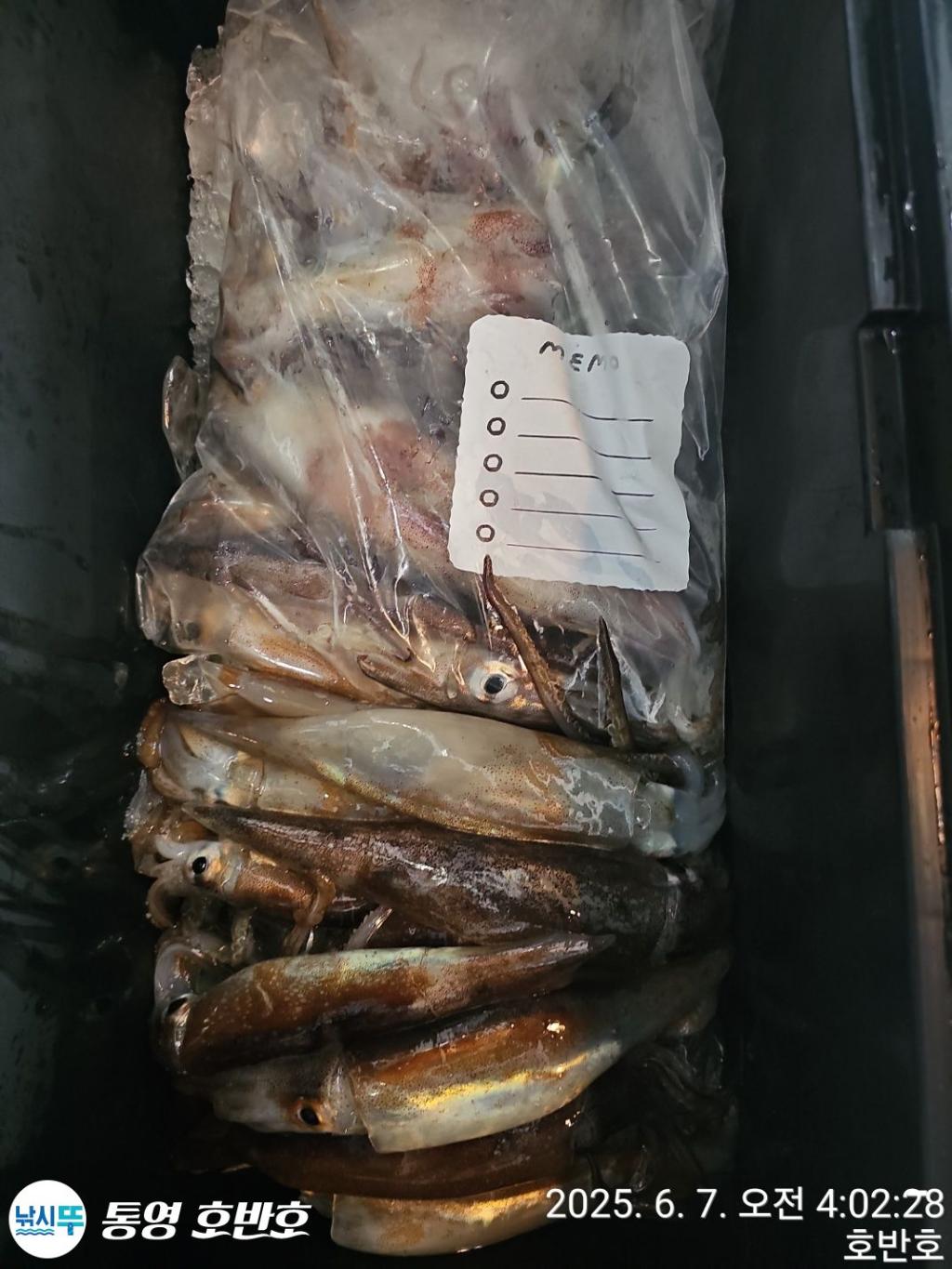 F2693501KE.jpg