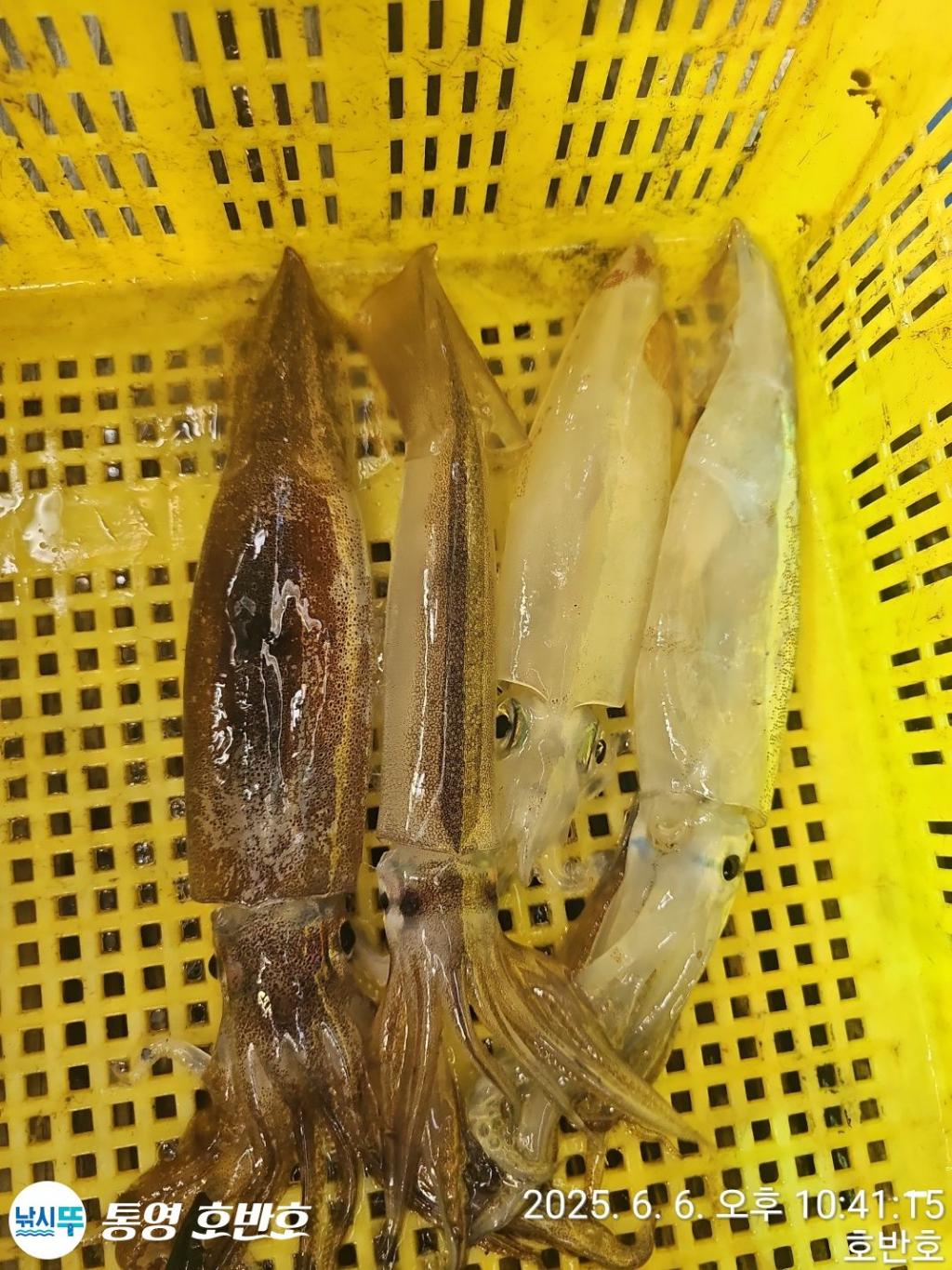 F2693505JP.jpg