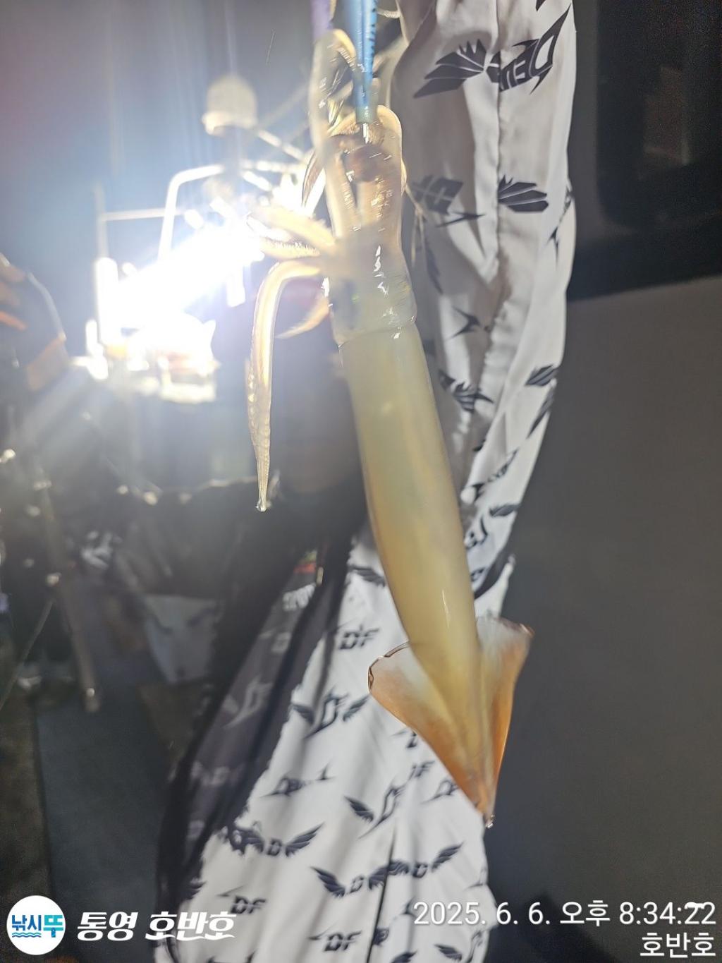 F2693509XB.jpg