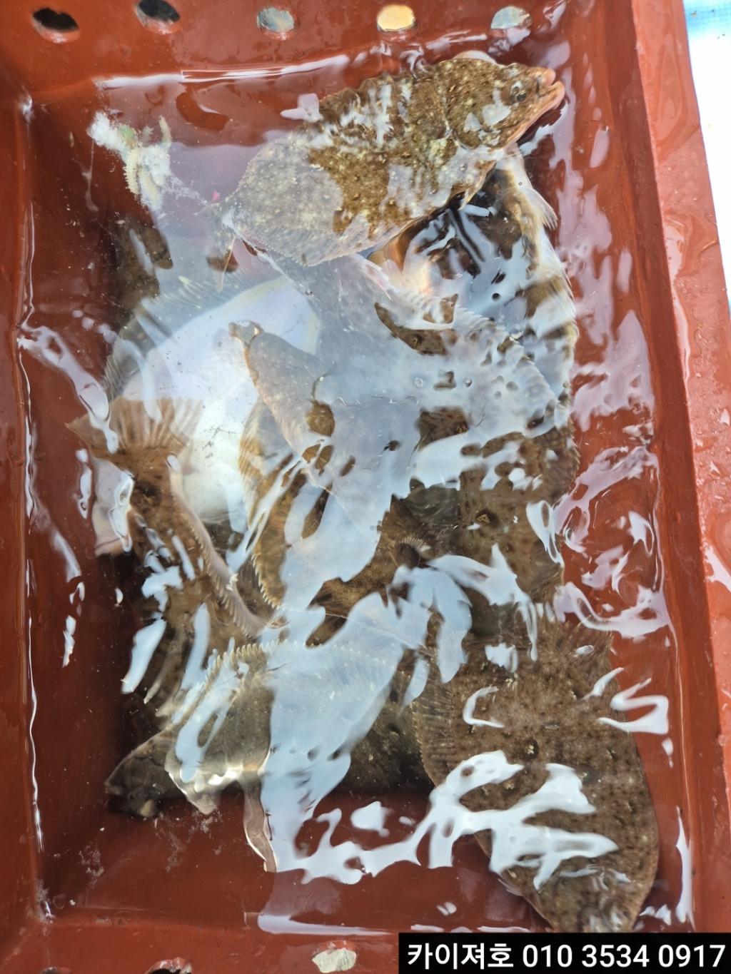 F2693677XA.jpg