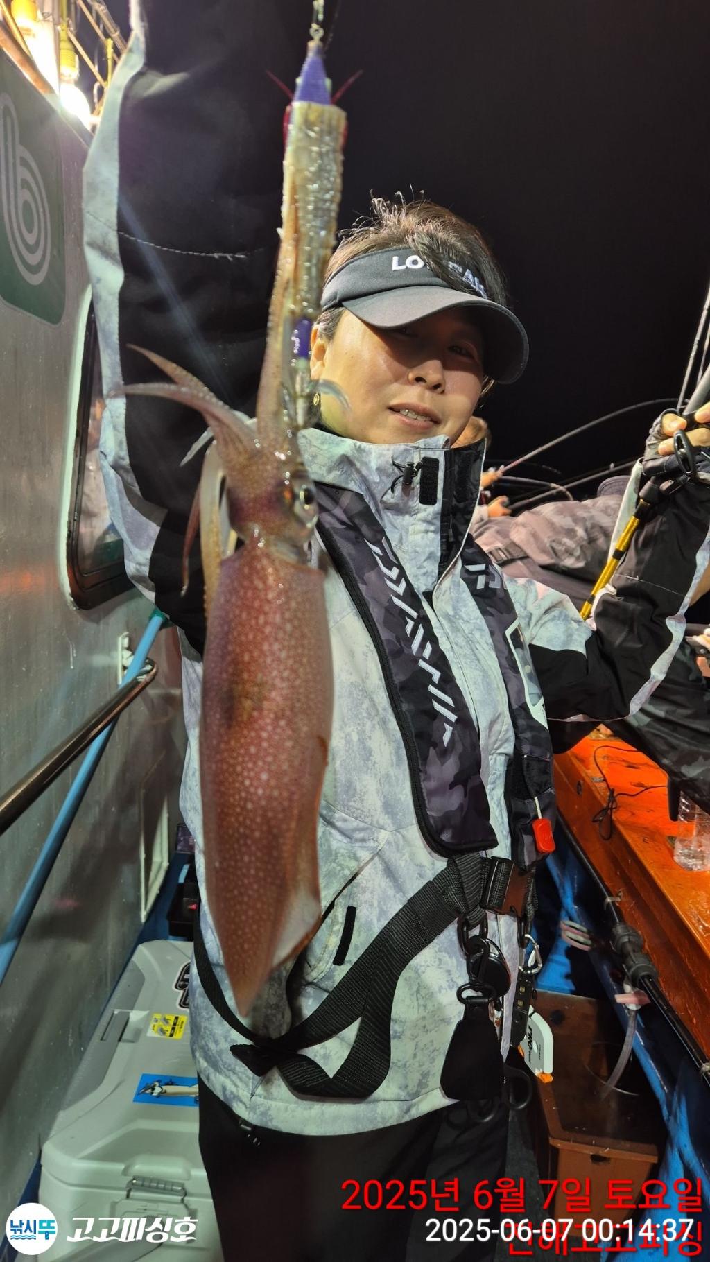 낚시뚜,한치,오징어,속천항(진해),고고피싱호,낚시뚜4