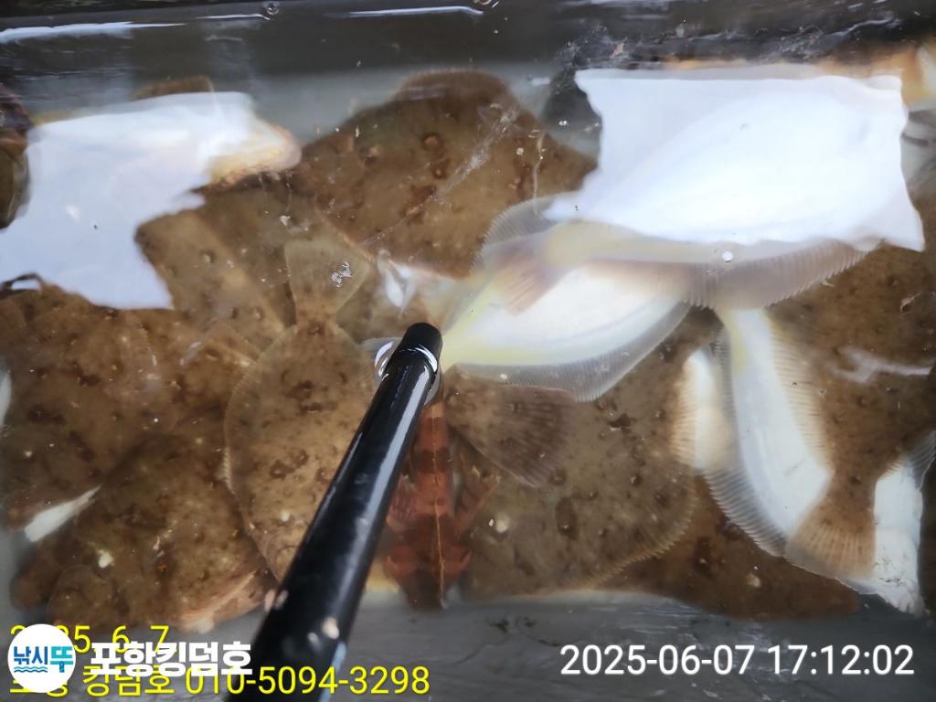 F26940833W.jpg