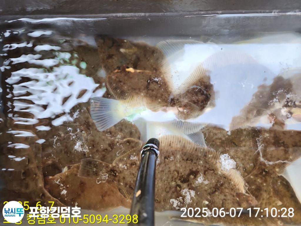 F2694089BG.jpg