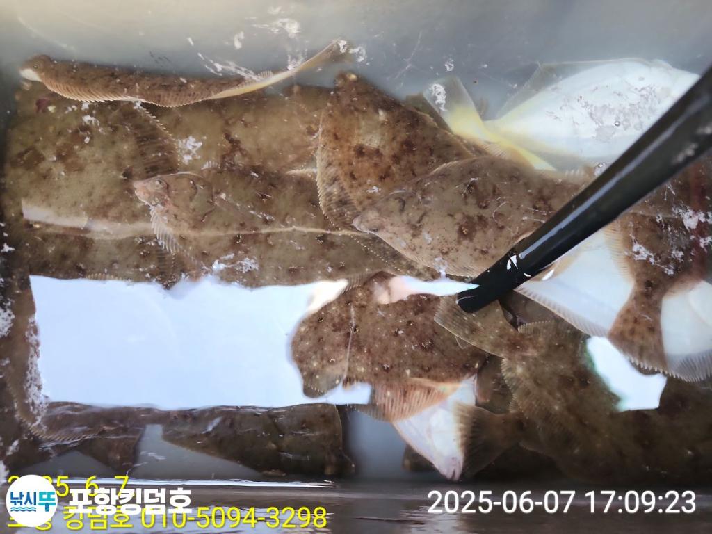 F269409140.jpg