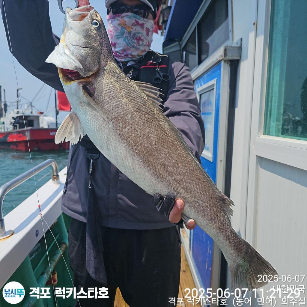 F2694140YS.jpg
