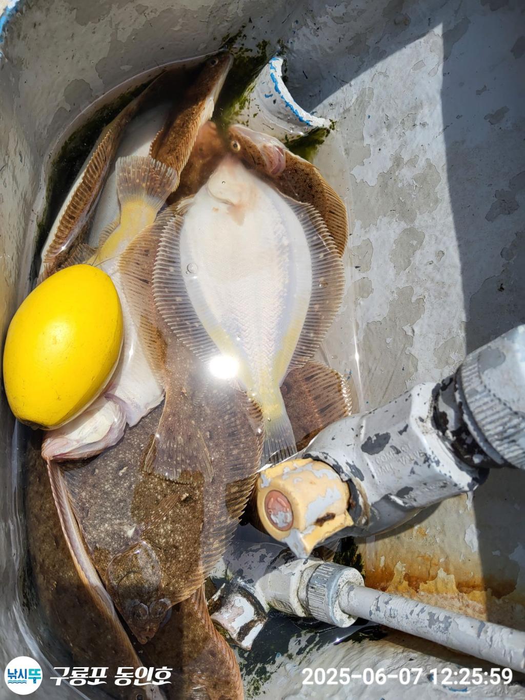 F2694242MK.jpg