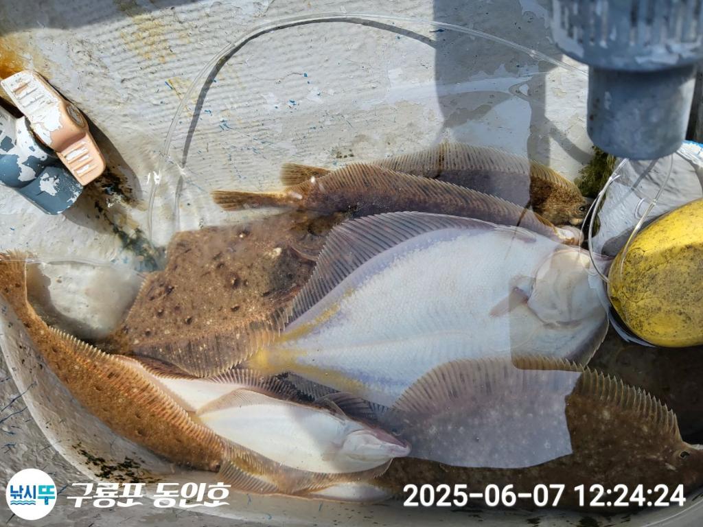 F269427152.jpg
