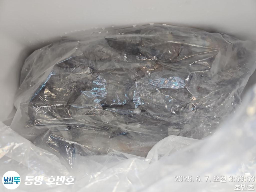 F2694495O0.jpg