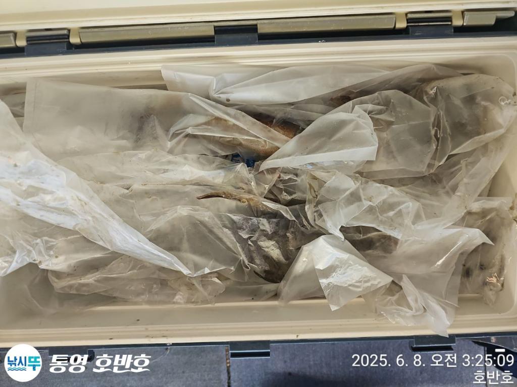 F269450481.jpg