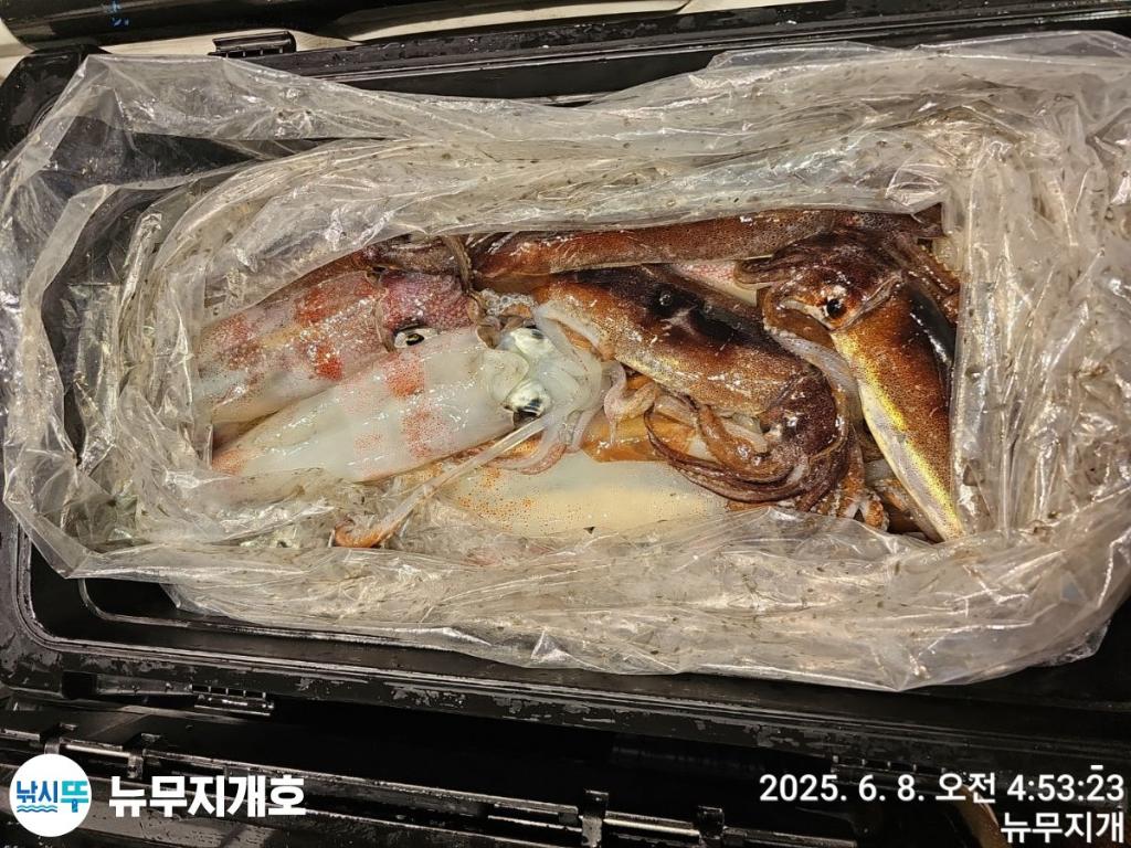 F2694559XY.jpg